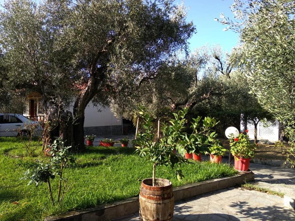 Villa Asimidou Agia Paraskevi  Экстерьер фото