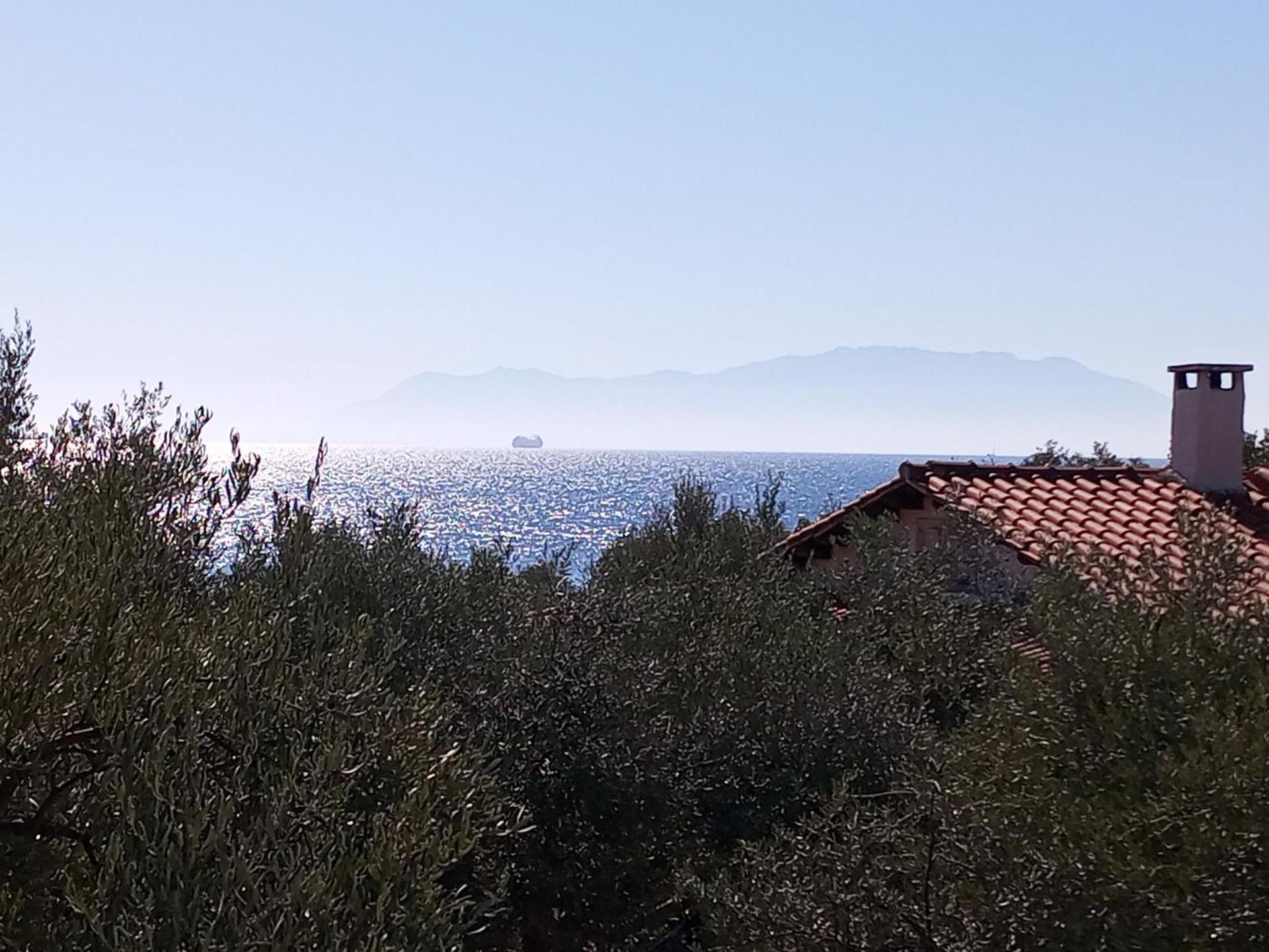 Villa Asimidou Agia Paraskevi  Экстерьер фото